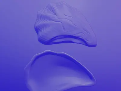 oyster shell volume 2 3D print model