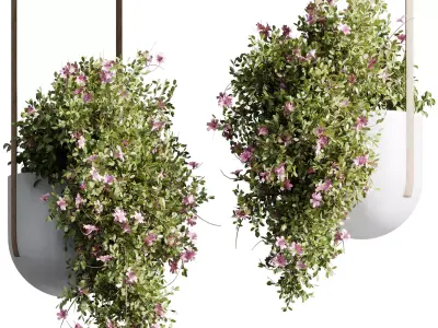 Hanging Flower Plant and Pot Lamp - Houseplant 685 3D model