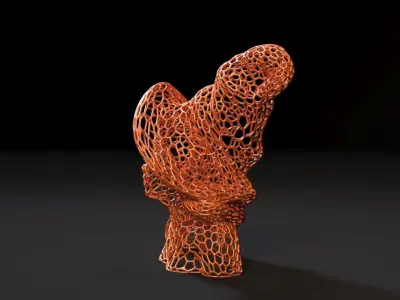 Witch bust 3D print model
