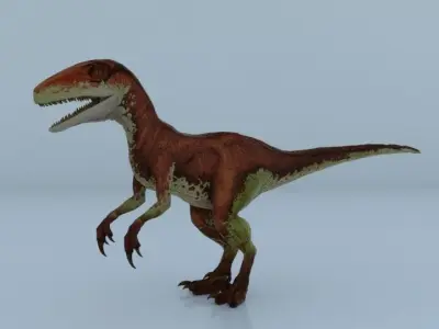 Atrociraptor dinosoure 3D model