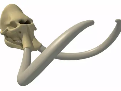 Woolly Mammoth Skull 3D model