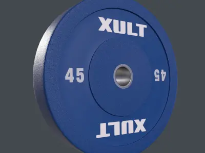45lb Bumper Plate 3D model