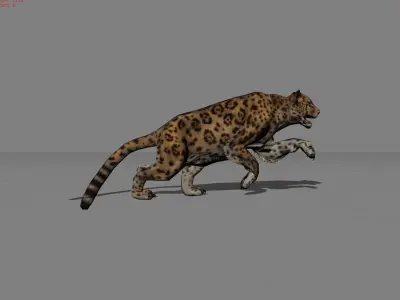 Jaguar Animal  Low-poly 3D model
