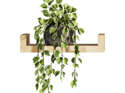 Plants Set 3D model