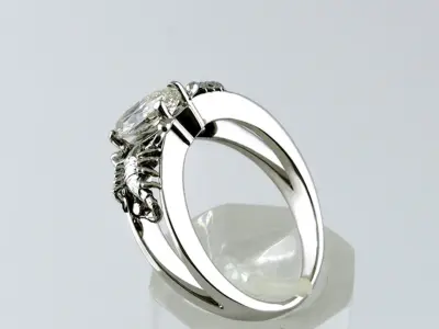 Ring Scorpions  3D print model