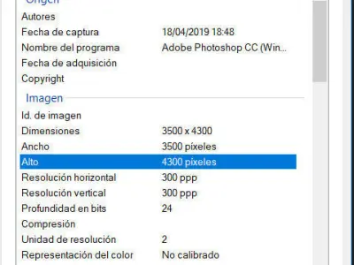 Spathiphyllum high resolution textures Texture