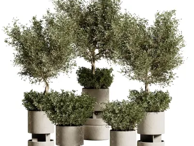 Indoor plant stant 79 3D model