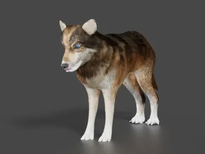 wolf 3d Low-poly 3D model