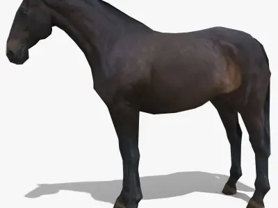 LowPoly Horses Collection volume 1 Low-poly 3D model