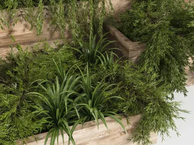 Outdoor Plants Tree in Plant Box Set0 3D model