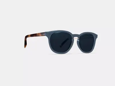 Toddy Sunglasses in Azure Crystal with Oak Barrel 3D model