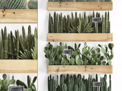 Cactus set wall decor vertical garden 42 3D model