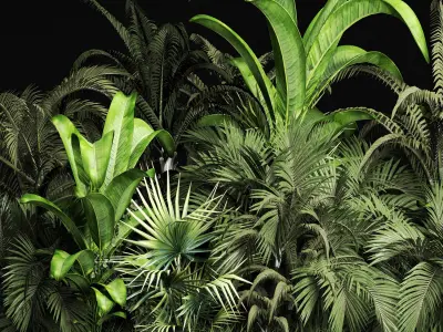 Plants Collection 209 Gardening Plants 3D model