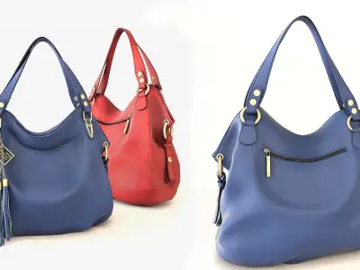 Petite Jolie Luxurious Bag 3D model