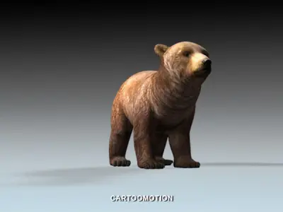 Baby Bear Low-poly 3D model