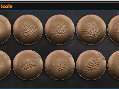 Dragon Scale  Vol 17 3D model