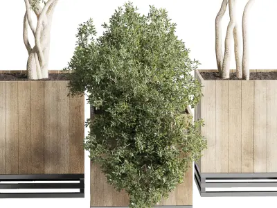 wooden Box Plants on Stand  of houseplants indoor 193 3D model