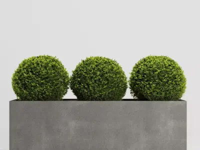 Boxwood Topiary Three Balls 3D model
