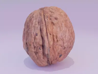 Walnut fruit 03 high-poly 3D model
