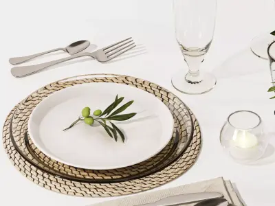 Table setting H45 3D model