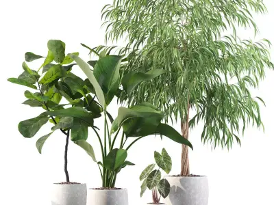 Plants collection 113 3D model