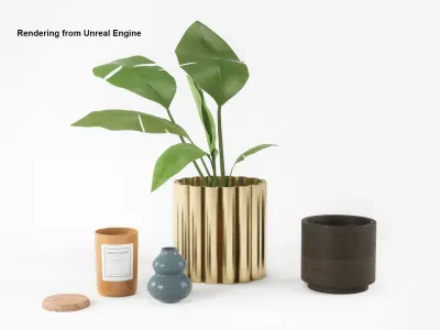 Decorationset Plant 3D model