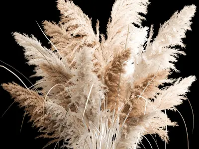 Bouquet of dry reeds in a white wicker basket for decoration 256 3D model