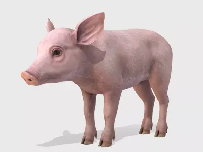 Piglet Low-poly 3D model