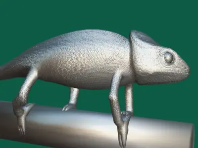 Chameleon Lizard Reptiles Low-poly 3D model