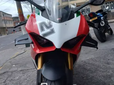 Winglet Ducati Panigale V2 3D print model