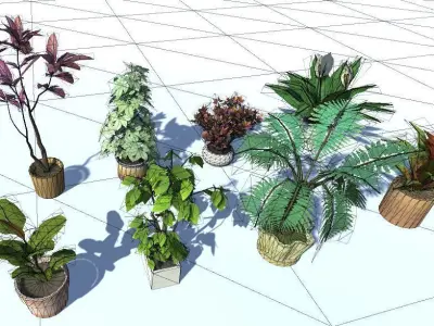 Indoor Potted Plant Lowpoly Low-poly 3D model