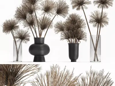 Bouquet of dried flowers Cyperus in a vase 177 3D model