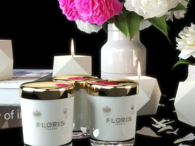 set1216 candles and flowers 3D model