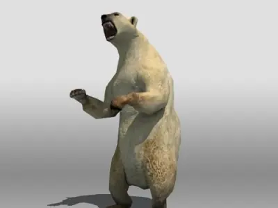 Polar Bear Low-poly 3D model