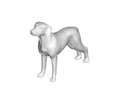 Dog - 3D model buy