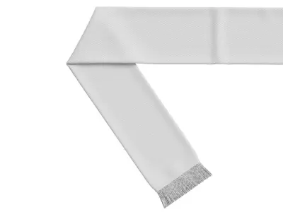 Football Fan Scarf 02 3D model