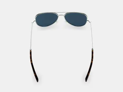 Raider Sunglasses in Polished Silver Low-poly 3D model