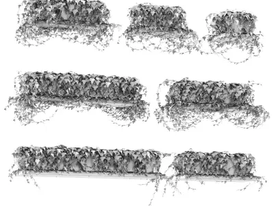 Ivy for shelves v2 3D model
