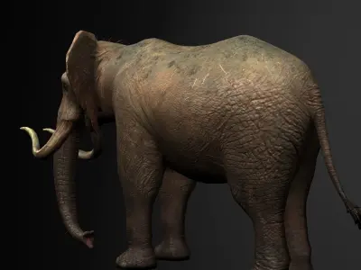 Elelphant 3D model rig Low-poly 3D model