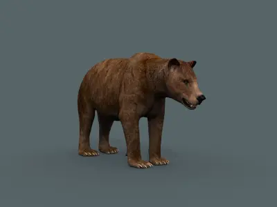 Best Bear - 3D animated Brown Bear 3D model