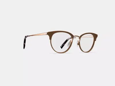 Blair Eyeglasses in Rose Gold 3D model
