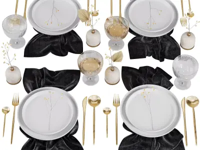 Table Setting V6 3D model