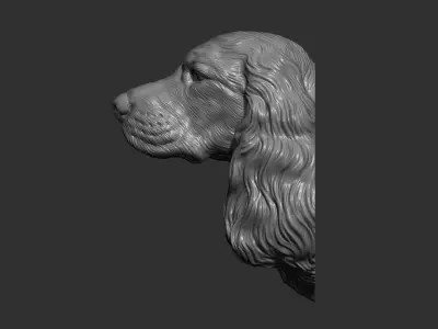 English Cocker Spaniel bust 3D print model