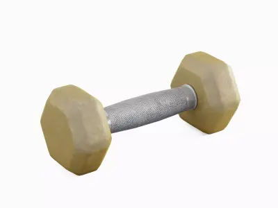 Rubber Dumbbell 04 Low-poly 3D model