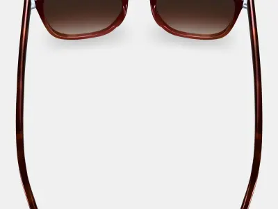 Rosie Sunglasses in Mulberry Tortoise Fade Low-poly 3D model