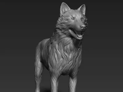 Wolf Sculpt 3D model