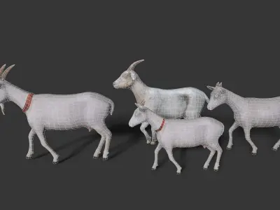 sheep Low-poly 3D model