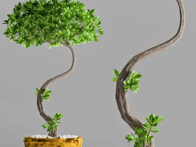 miniature plant 146 3D model