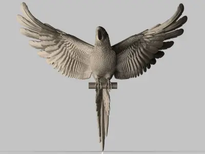 parrot  3D print model