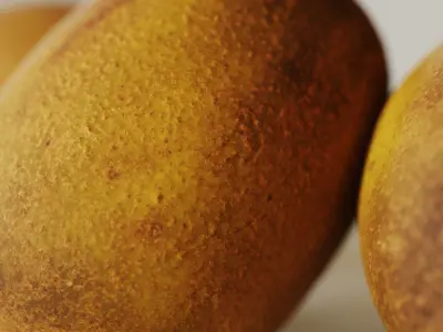 Golden Kiwi 3D model